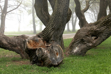 Similar image 2838132