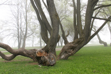 Similar image 2838133