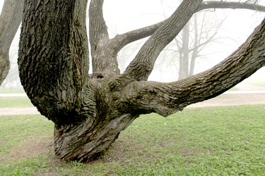 Similar image 2838134