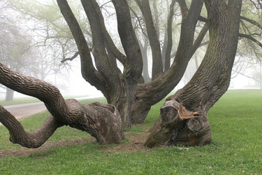 Similar image 2838135