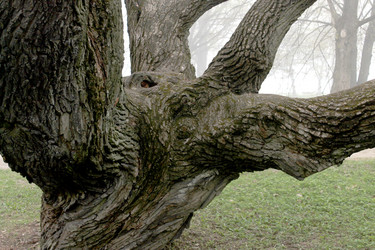 Similar image 2838136