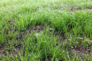 Similar image 2838139