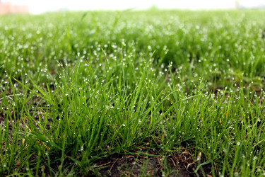 Similar image 2838140