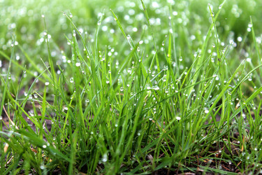 Similar image 2838141