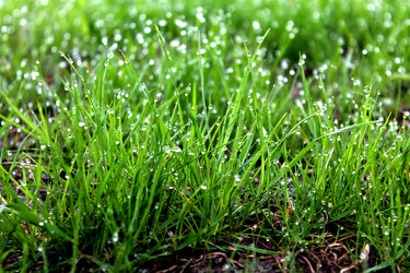 Similar image 2838142