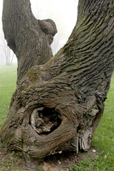 Similar image 2838147