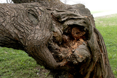 Similar image 2838148