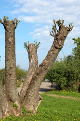 Similar image 2838152