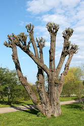 Similar image 2838154