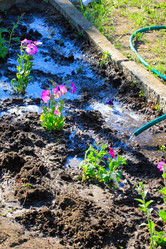 Similar image 2838156