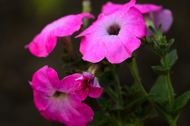 Similar image 2838158