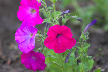 Similar image 2838159