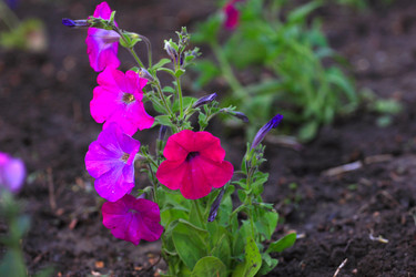 Similar image 2838160