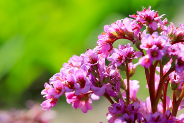 Similar image 2838161