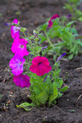 Similar image 2838162