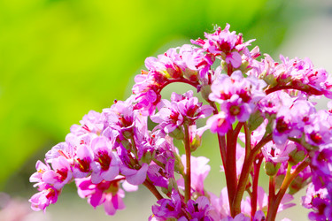 Similar image 2838164