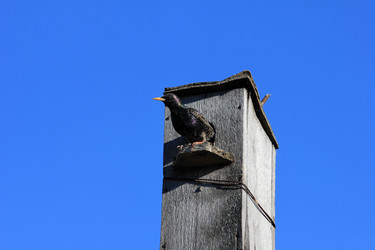 Similar image 2838166