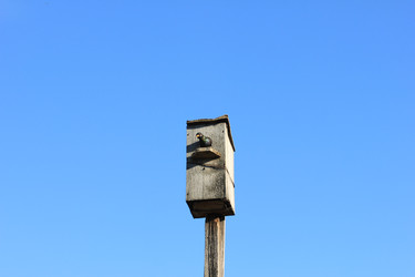 Similar image 2838168