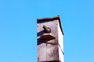 Similar image 2838169