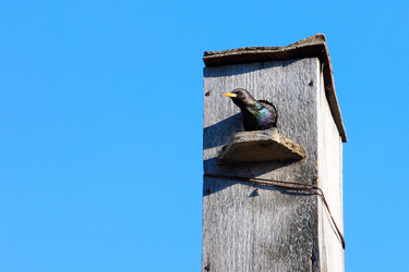 Similar image 2838170