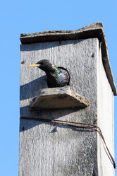 Similar image 2838171