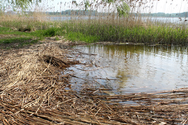 Similar image 2838174