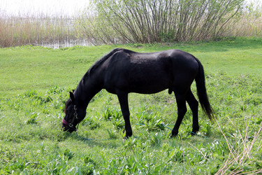 Similar image 2838175