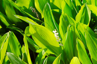 Similar image 2838180