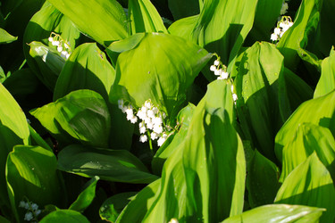 Similar image 2838181