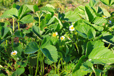 Similar image 2838182