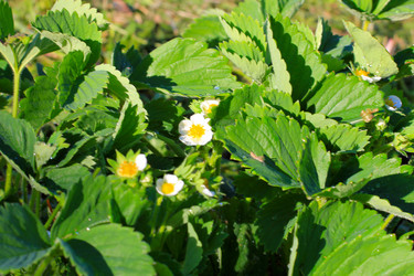 Similar image 2838183