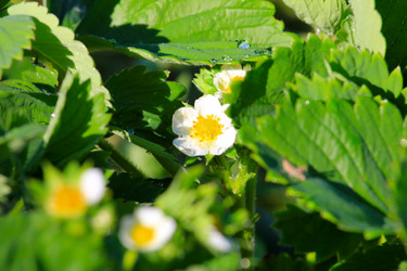 Similar image 2838184