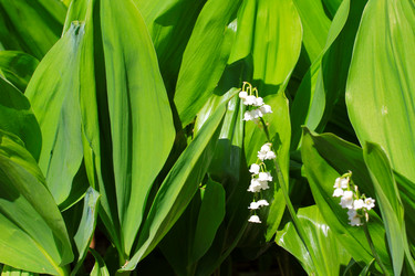 Similar image 2838186