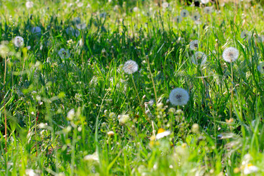 Similar image 2838189