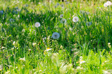 Similar image 2838190