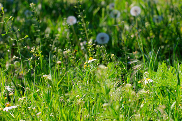 Similar image 2838191