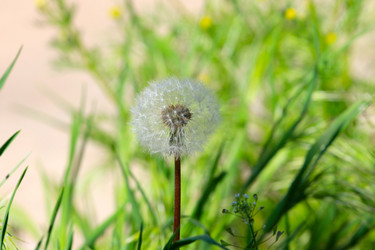 Similar image 2838193