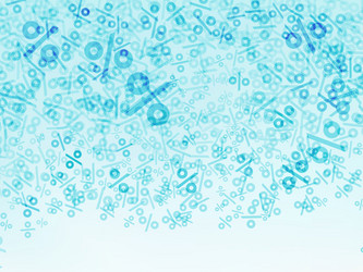 Similar image 2838208