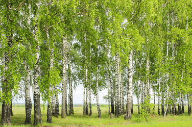 Similar image 2838228