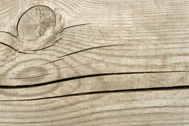 Similar image 2838239