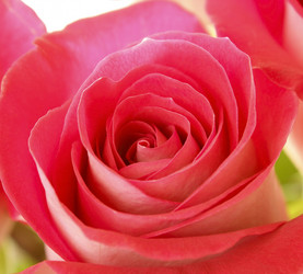 Similar image 2838244