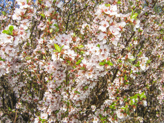 Similar image 2838248