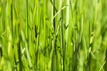 Similar image 2838250