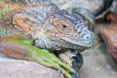 Similar image 2838254