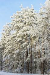 Similar image 2838265