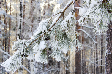 Similar image 2838268