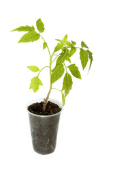 Similar image 2838271