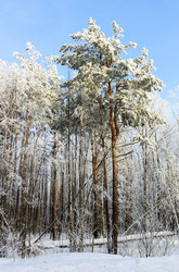 Similar image 2838273