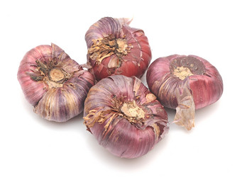 Similar image 2838282