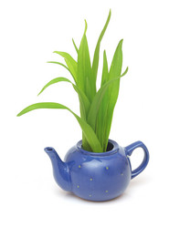 Similar image 2838295